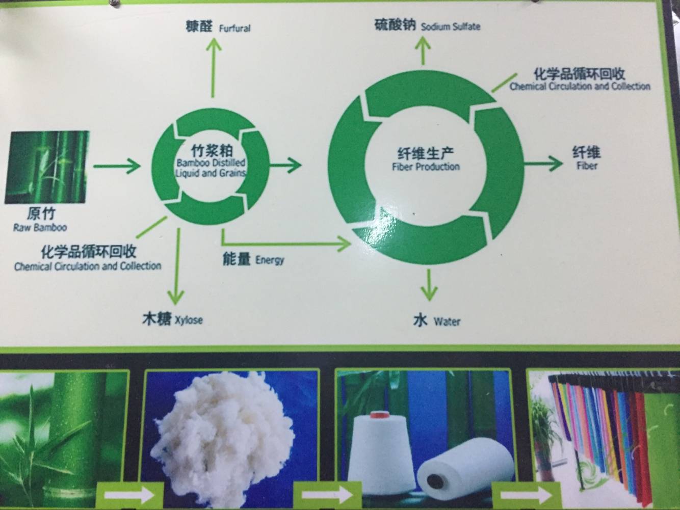 loop system